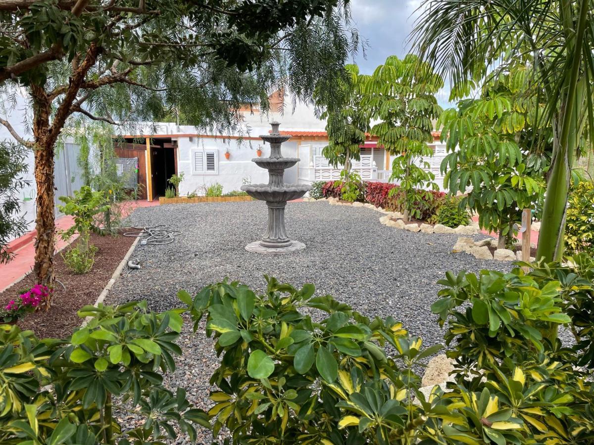 Villa Casitas Rurales Amador Arona  Exterior foto